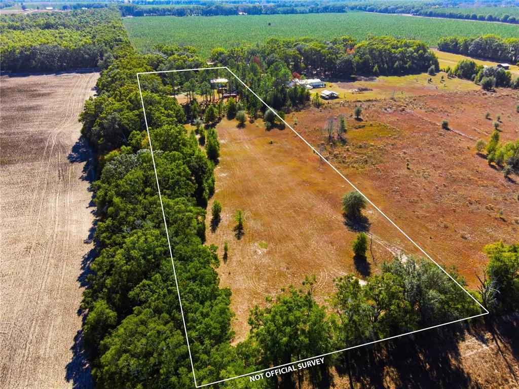 4506 Northwest 10th Street Bell, FL 32619 - Photo 5 of 50 a view of a yard from a balcony