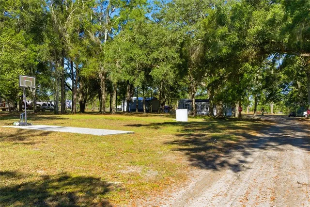 a view of a yard with a tree