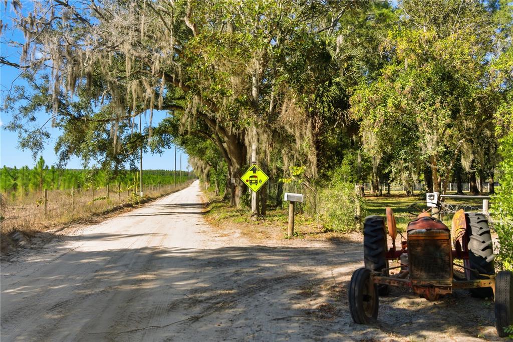 4506 Northwest 10th Street Bell, FL 32619 - Photo 9 of 50 a view of a yard with a tree