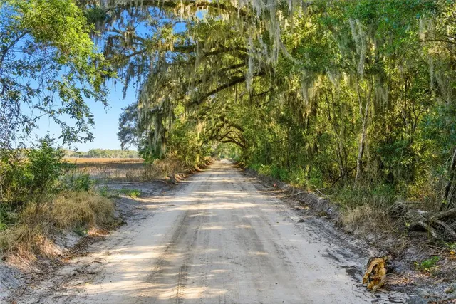 a view of swimming pool with lawn chairs under an umbrella