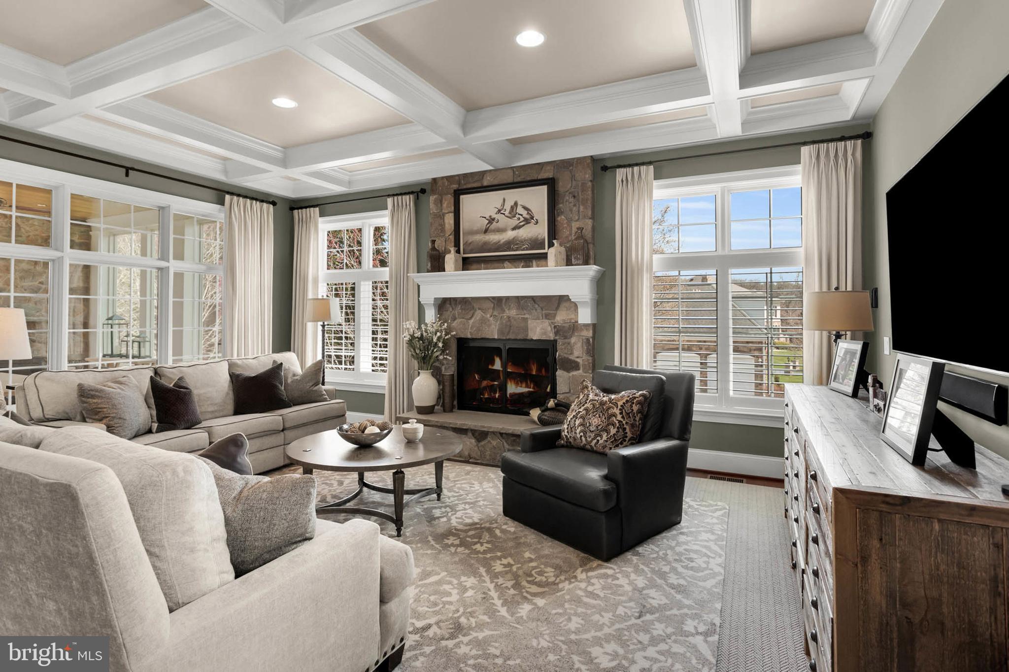 13615 Fox Stream Way West Friendship, MD 21794 - Photo 14 of 87 Coffered ceiling
