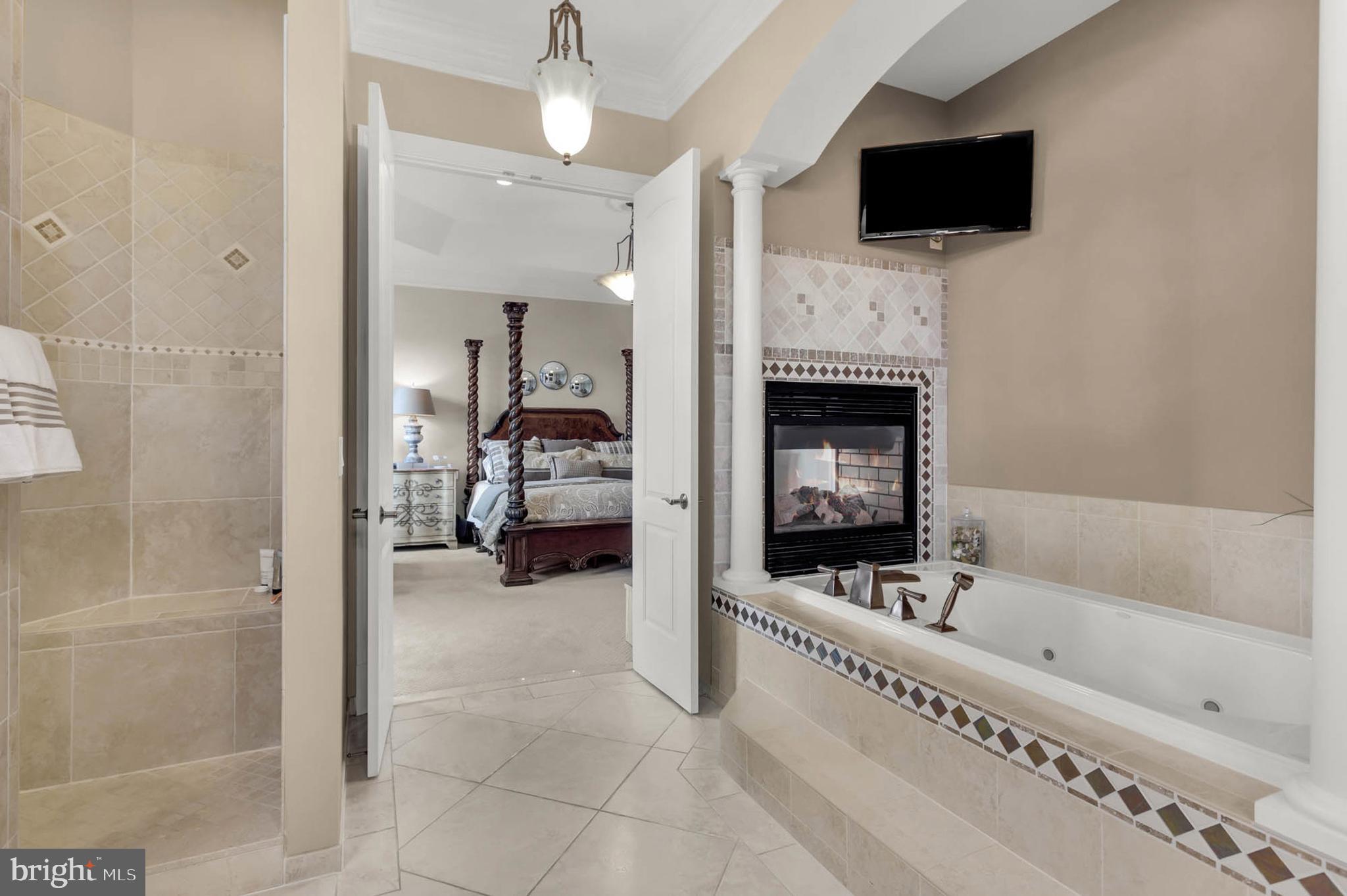 13615 Fox Stream Way West Friendship, MD 21794 - Photo 26 of 87 Tub with fireplace views