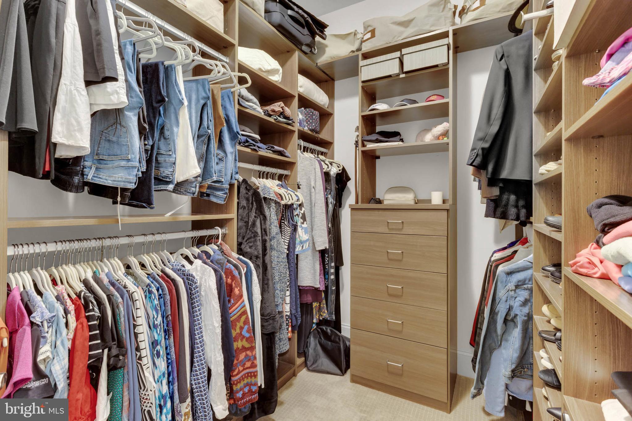 13615 Fox Stream Way West Friendship, MD 21794 - Photo 29 of 87 Custom closet #2