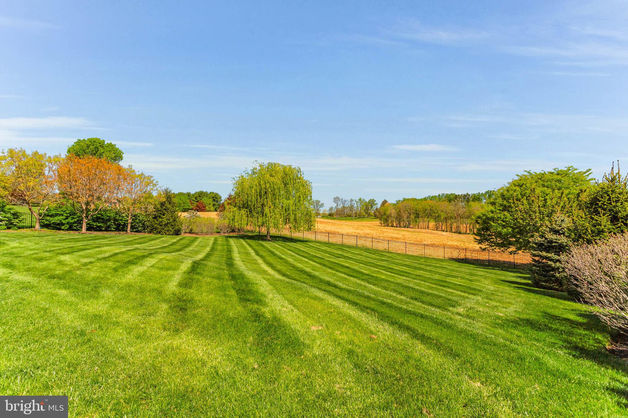 13615 Fox Stream Way West Friendship, MD 21794 - Photo 79 of 87 Flat backyard
