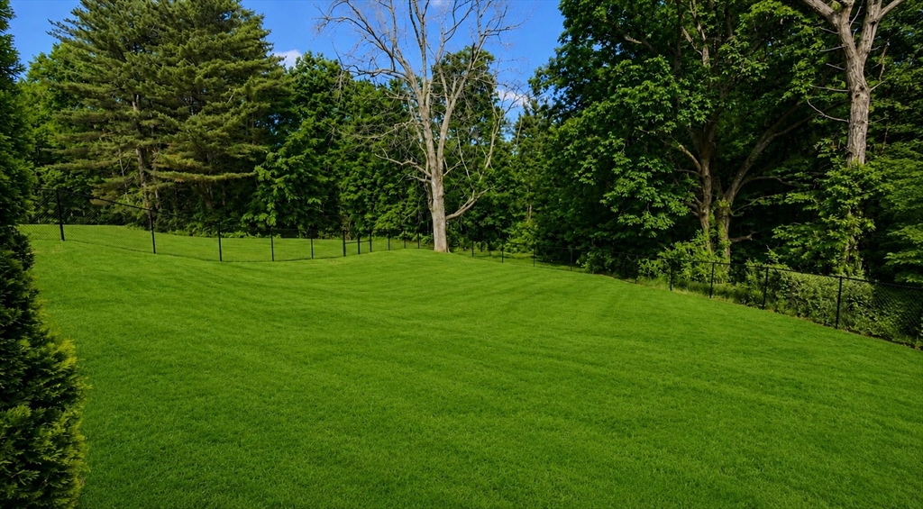 10 Mill Road North Brookfield, MA 01535 - Photo 6 of 31