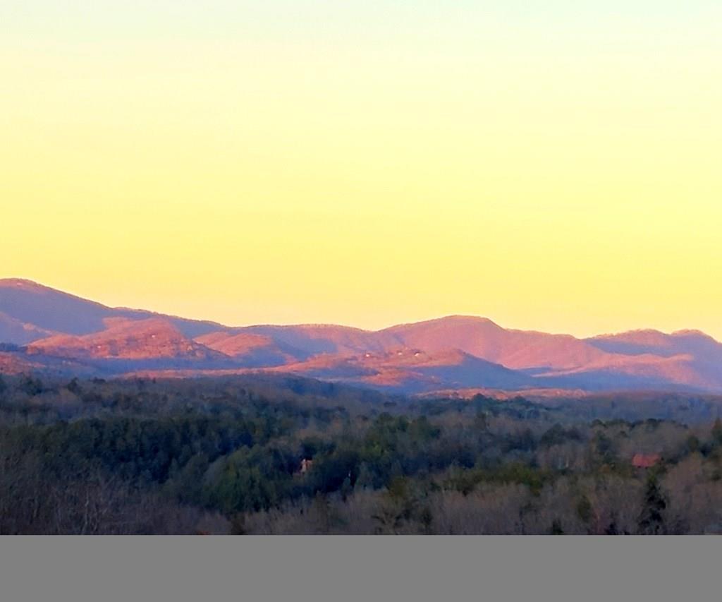 91 Black Gum Lane Blue Ridge, GA 30513 - Photo 2 of 52 Gallery Image 2