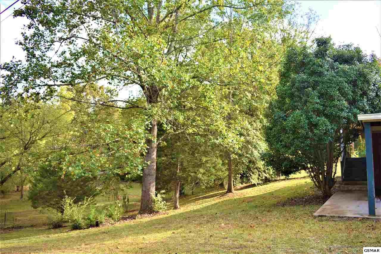 336 Boat Gunnel Road Townsend, TN 37882 - Photo 23 of 25 Gallery Image 23