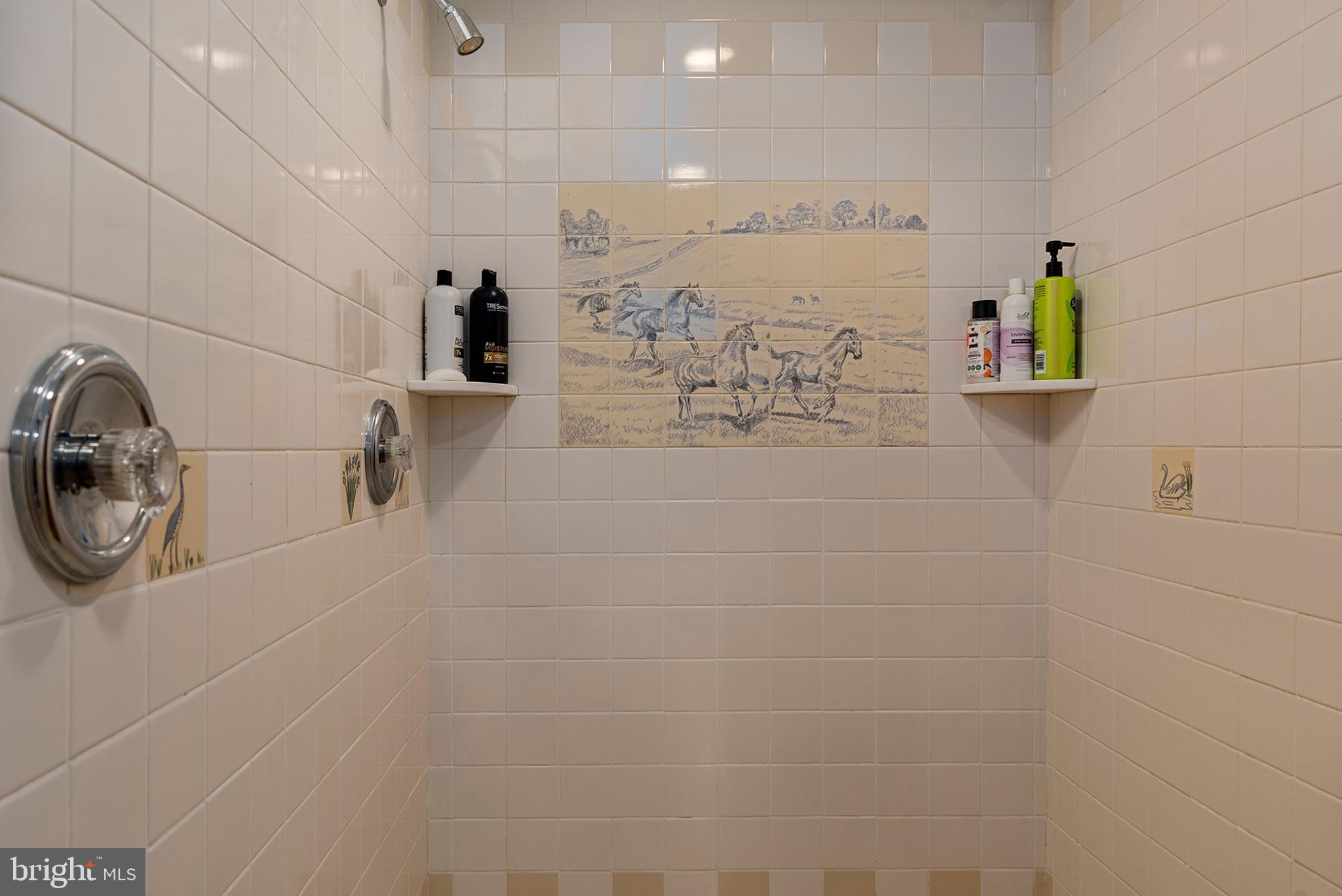 137 Elk Ranch Park Road Elkton, MD 21921 - Photo 29 of 52 a view of storage and utility room