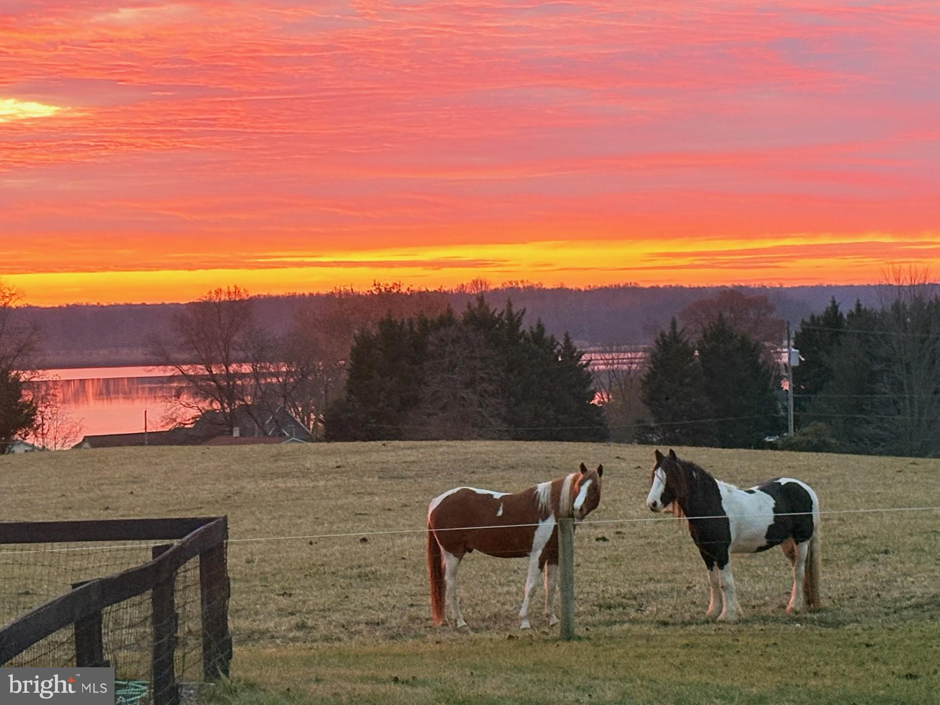 137 Elk Ranch Park Road Elkton, MD 21921 - Photo 39 of 52 a view of a lake with a mountain view