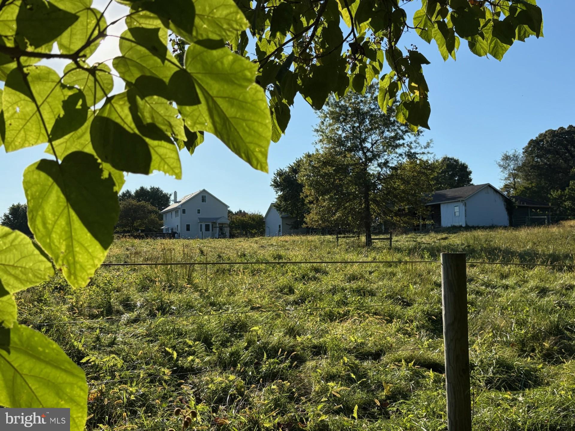 137 Elk Ranch Park Road Elkton, MD 21921 - Photo 41 of 52 a view of a yard