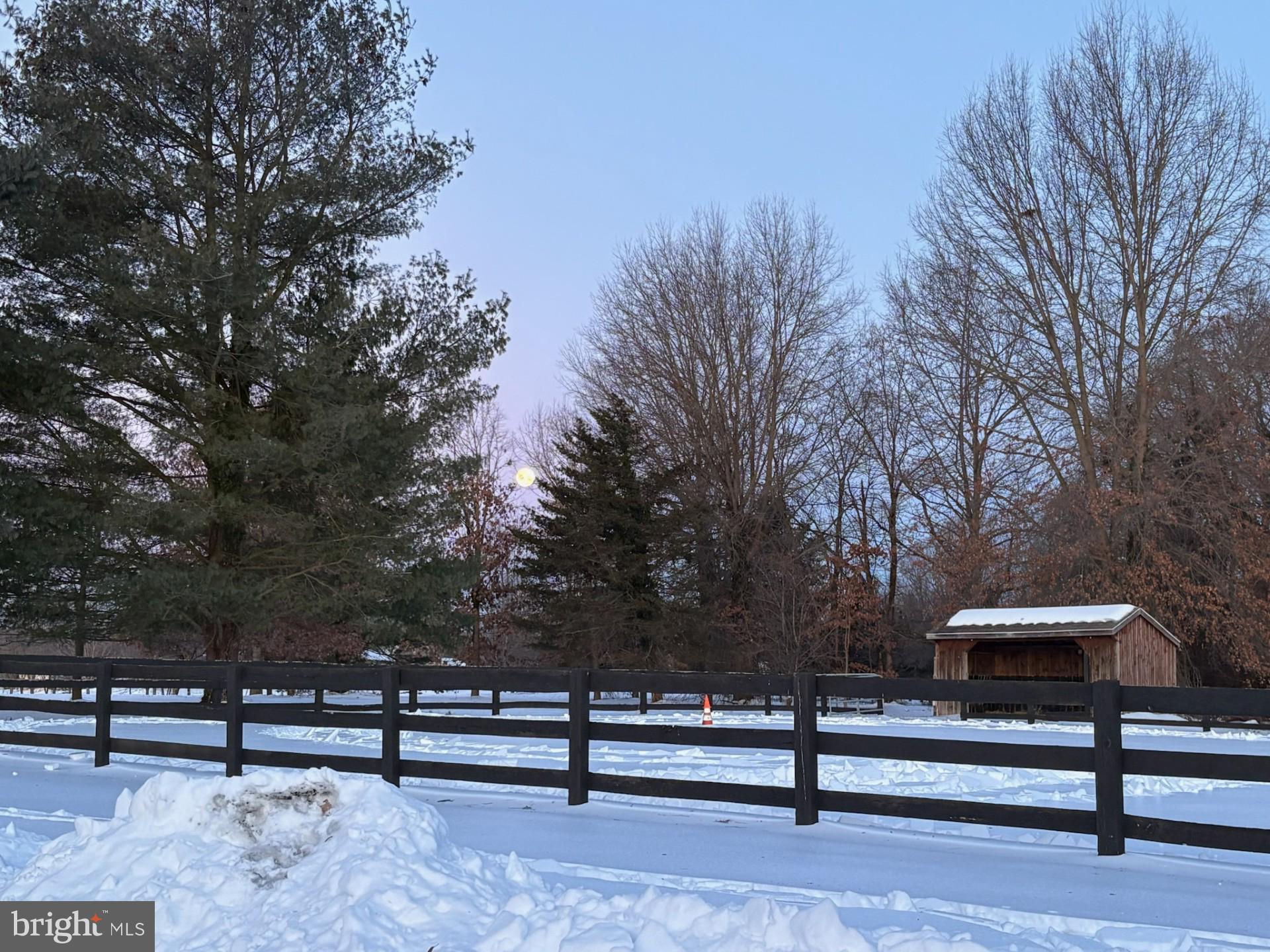 137 Elk Ranch Park Road Elkton, MD 21921 - Photo 42 of 52 a view of outdoor space with trees