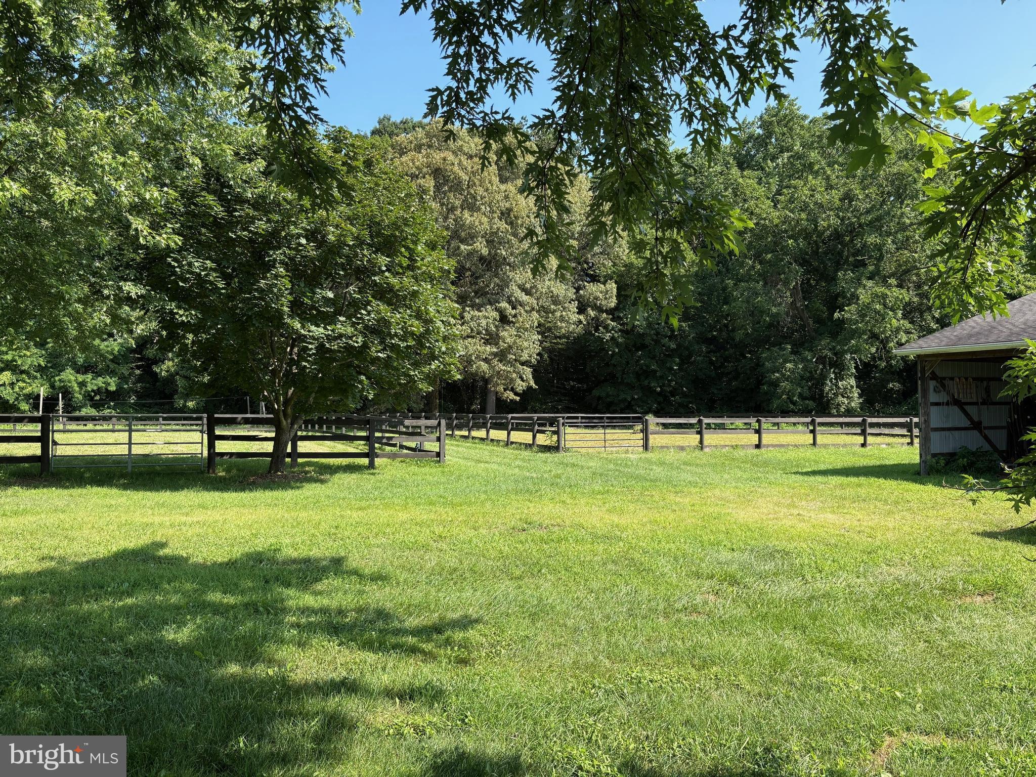 137 Elk Ranch Park Road Elkton, MD 21921 - Photo 43 of 52 a view of a park with large trees