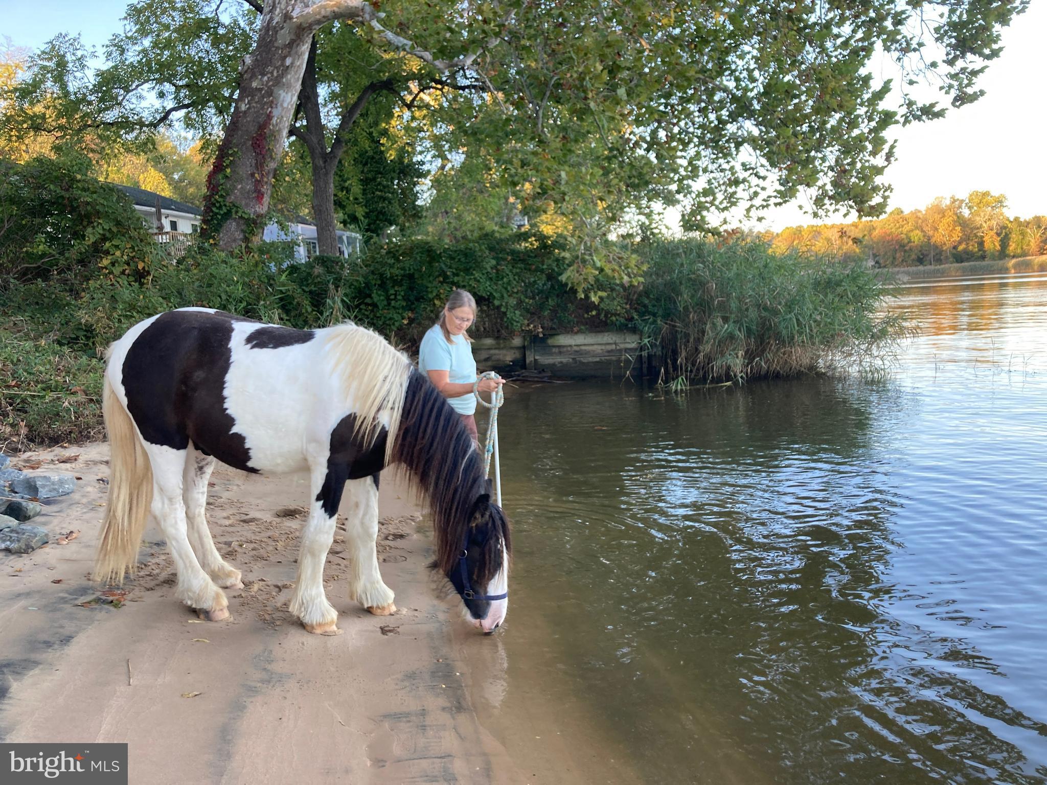 137 Elk Ranch Park Road Elkton, MD 21921 - Photo 48 of 52 a view of a lake with table and chairs and wooden fence