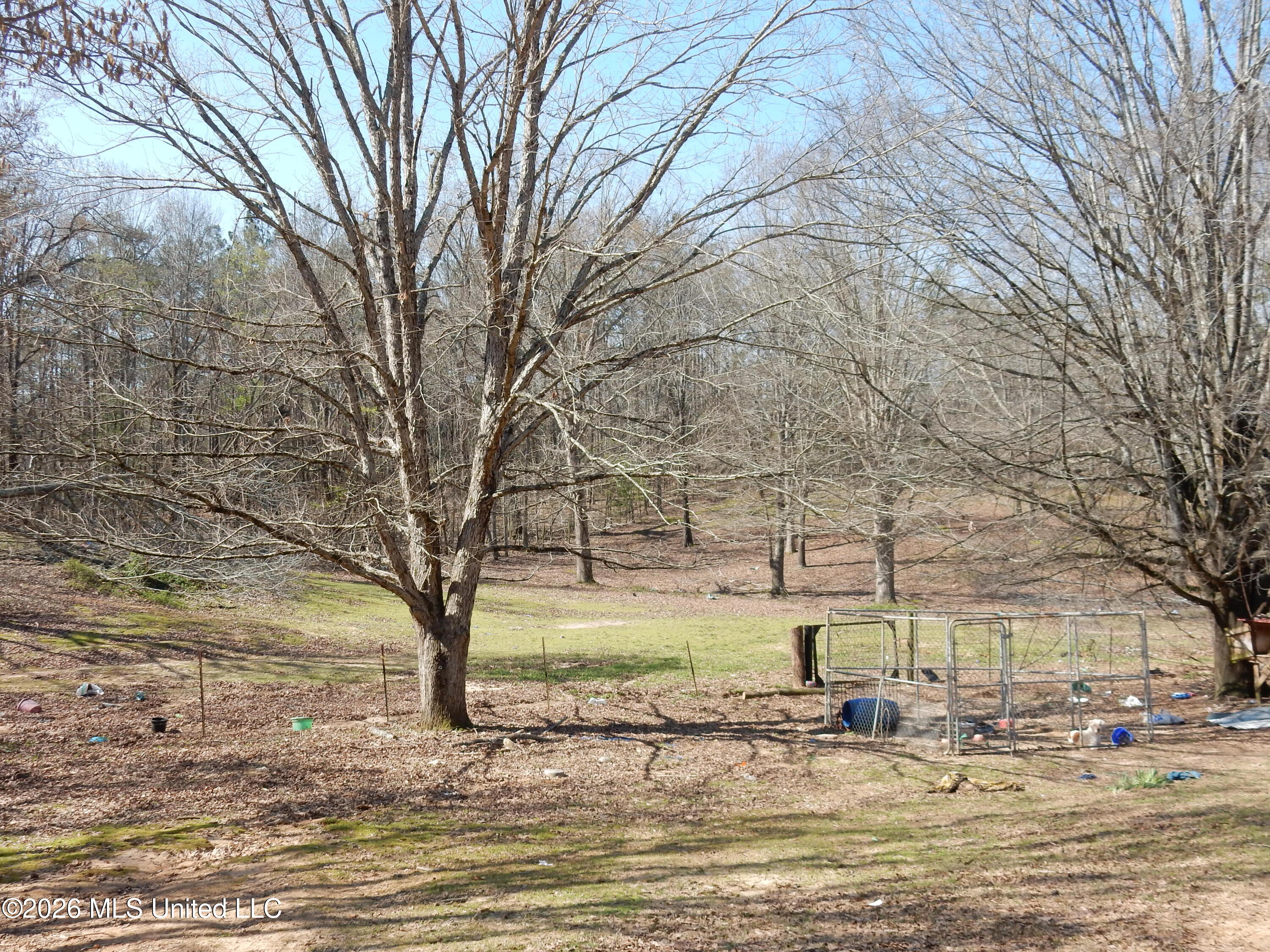 2640 Odell Road Holly Springs, MS 38635 - Photo 4 of 15 DSCN3245