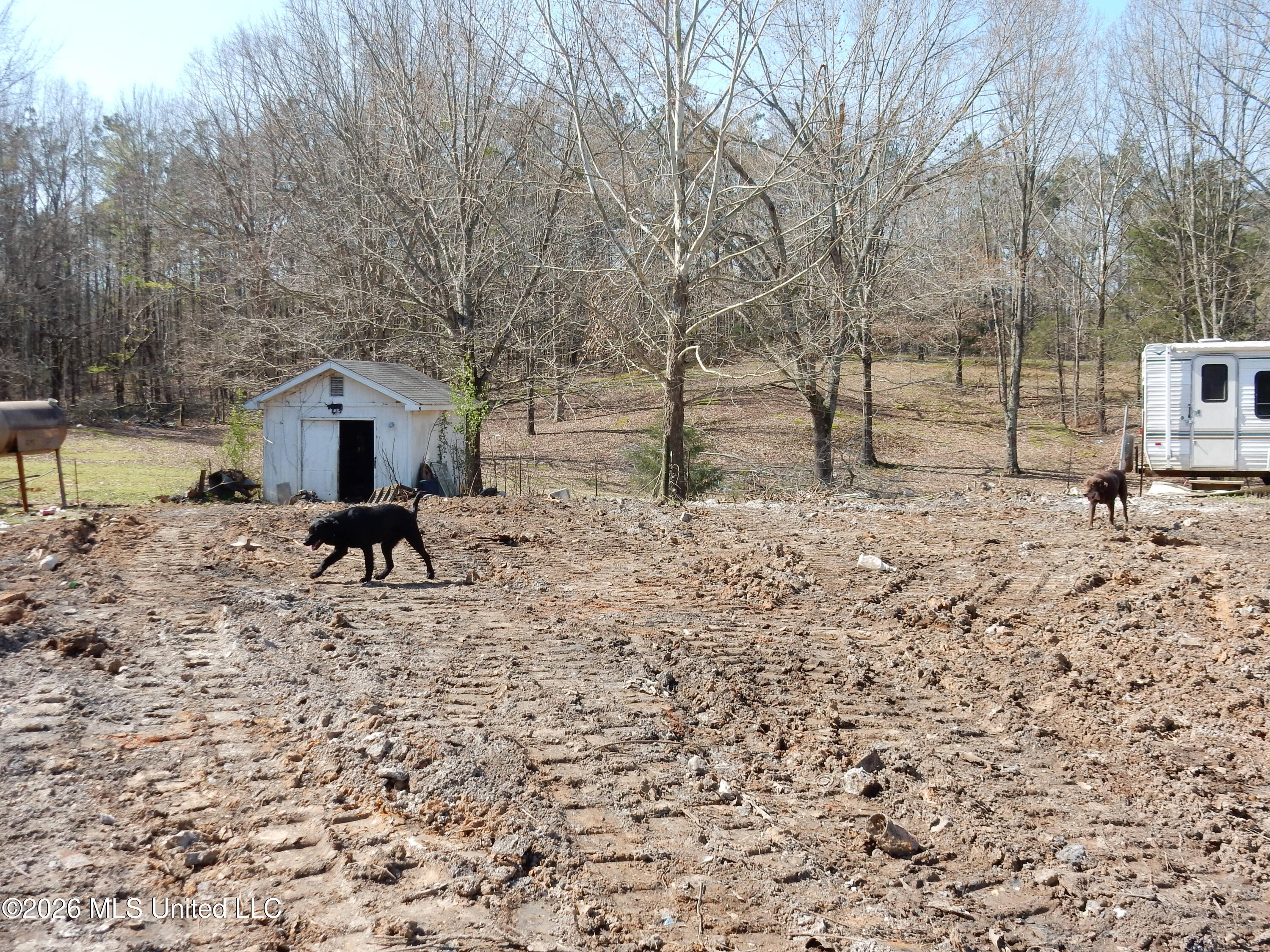 2640 Odell Road Holly Springs, MS 38635 - Photo 5 of 15 DSCN3244