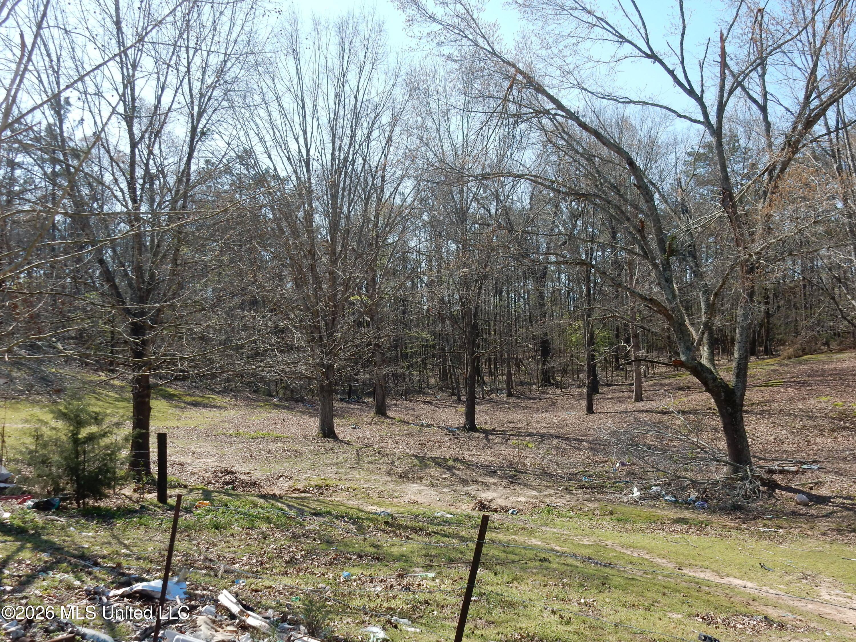 2640 Odell Road Holly Springs, MS 38635 - Photo 6 of 15 DSCN3243
