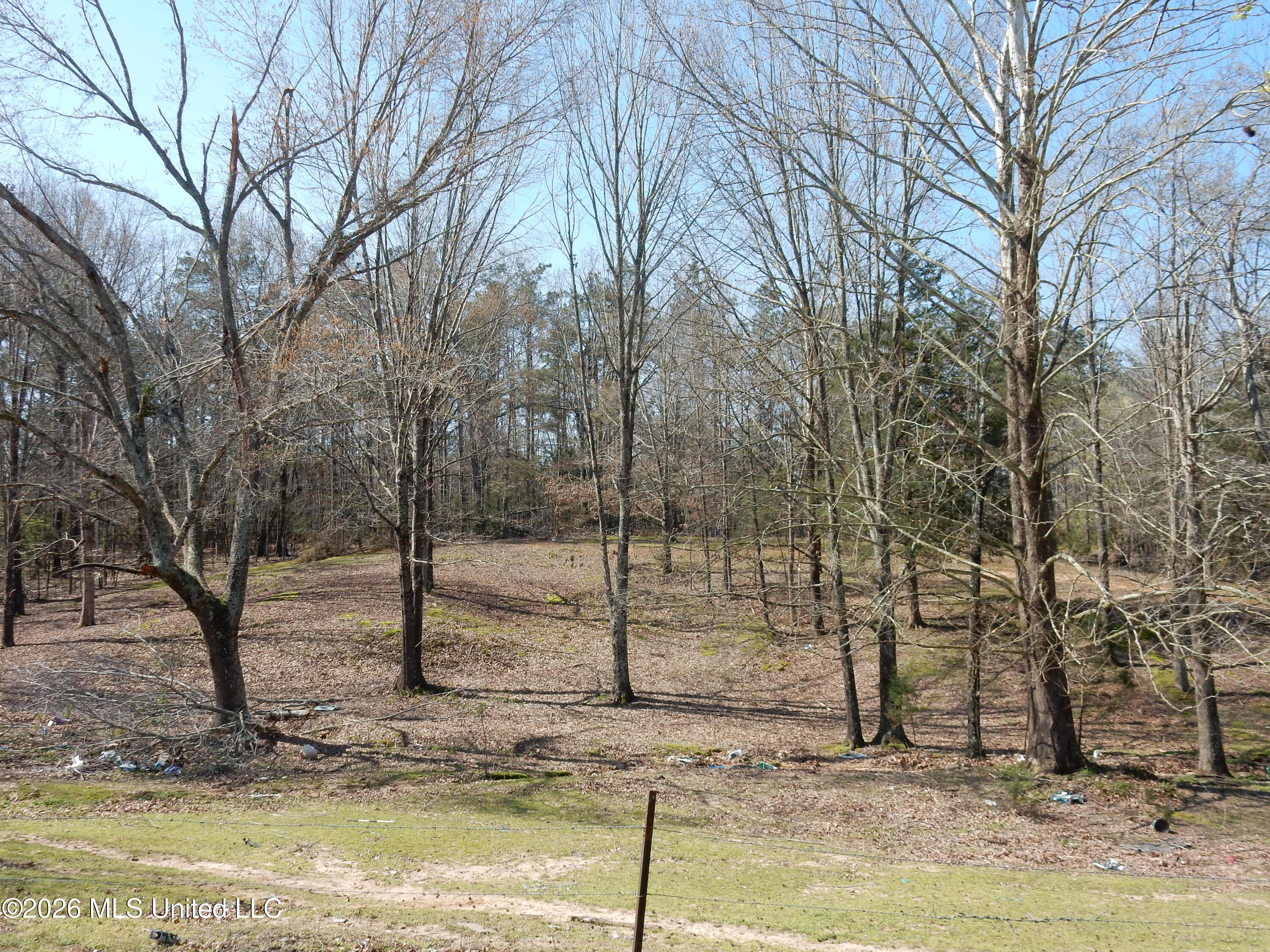 2640 Odell Road Holly Springs, MS 38635 - Photo 7 of 15 DSCN3241