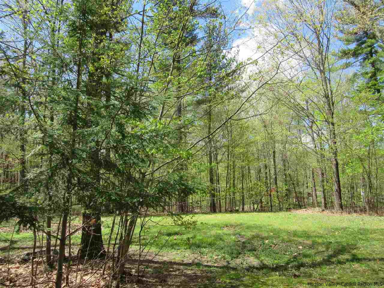 40 Manor Woods Road Cairo, NY 12473 - Photo 29 of 35 Photo 29