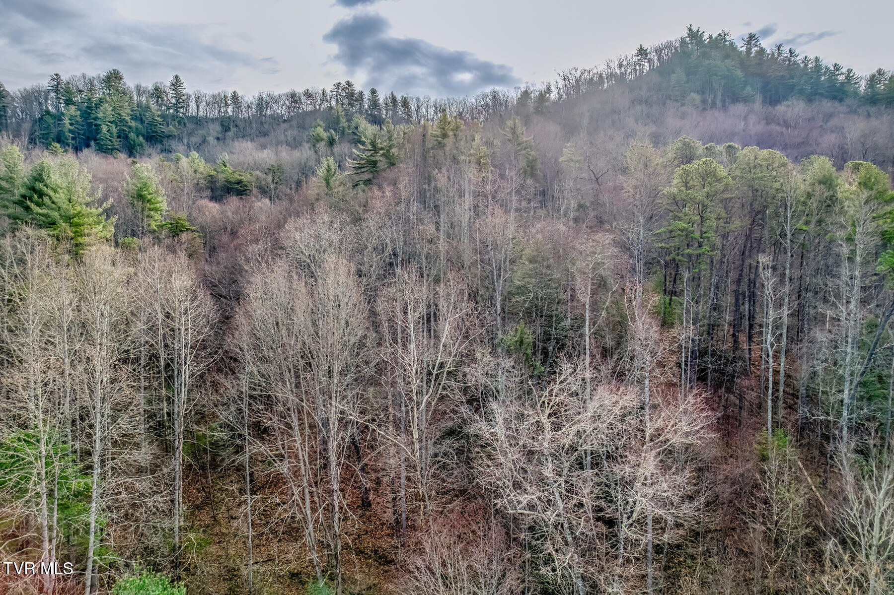 902 R D Campbell Road Butler, TN 37640 - Photo 12 of 19 902 R D Campbell Road-5