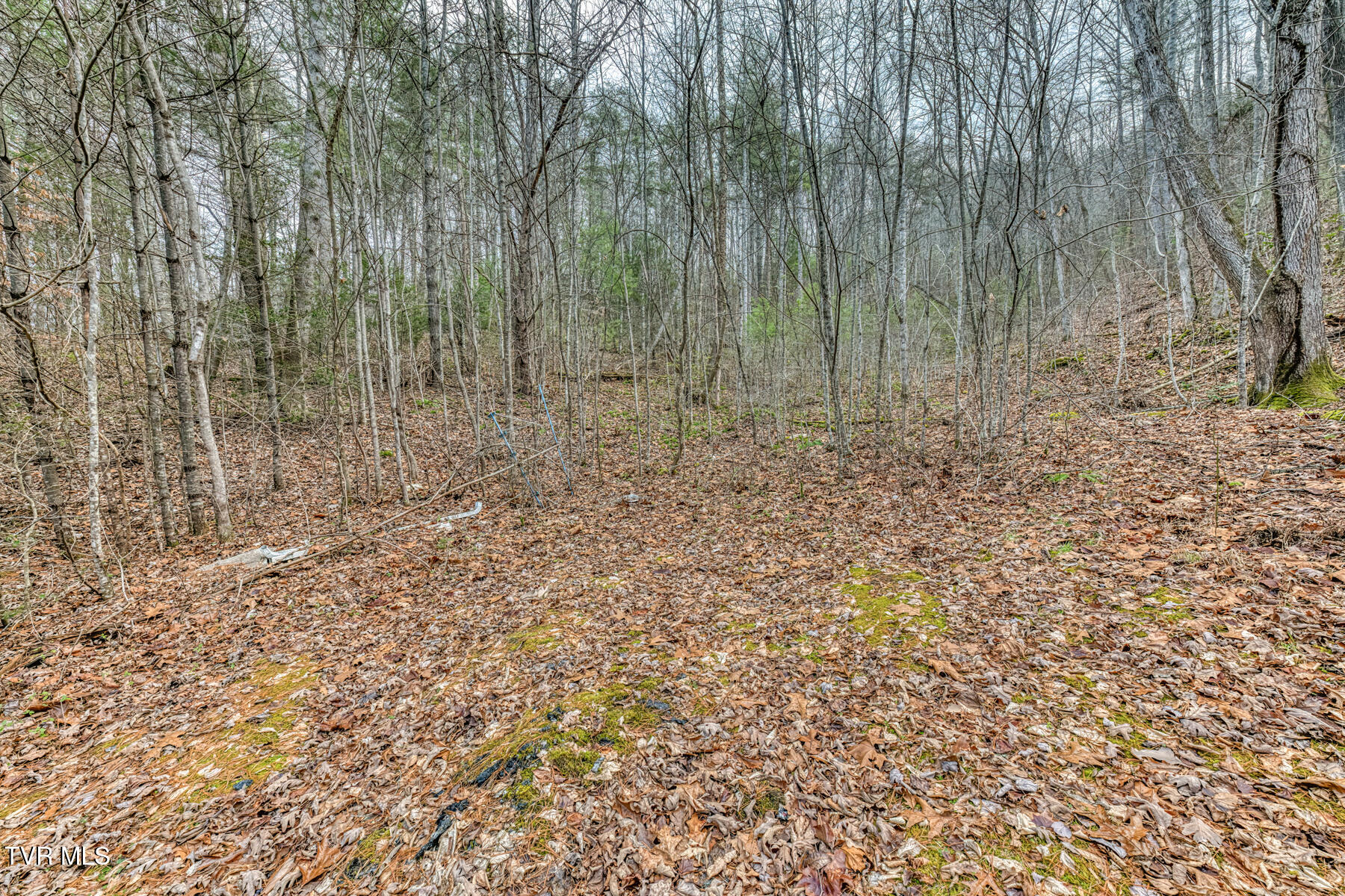 902 R D Campbell Road Butler, TN 37640 - Photo 5 of 19 902 R D Campbell Road-16