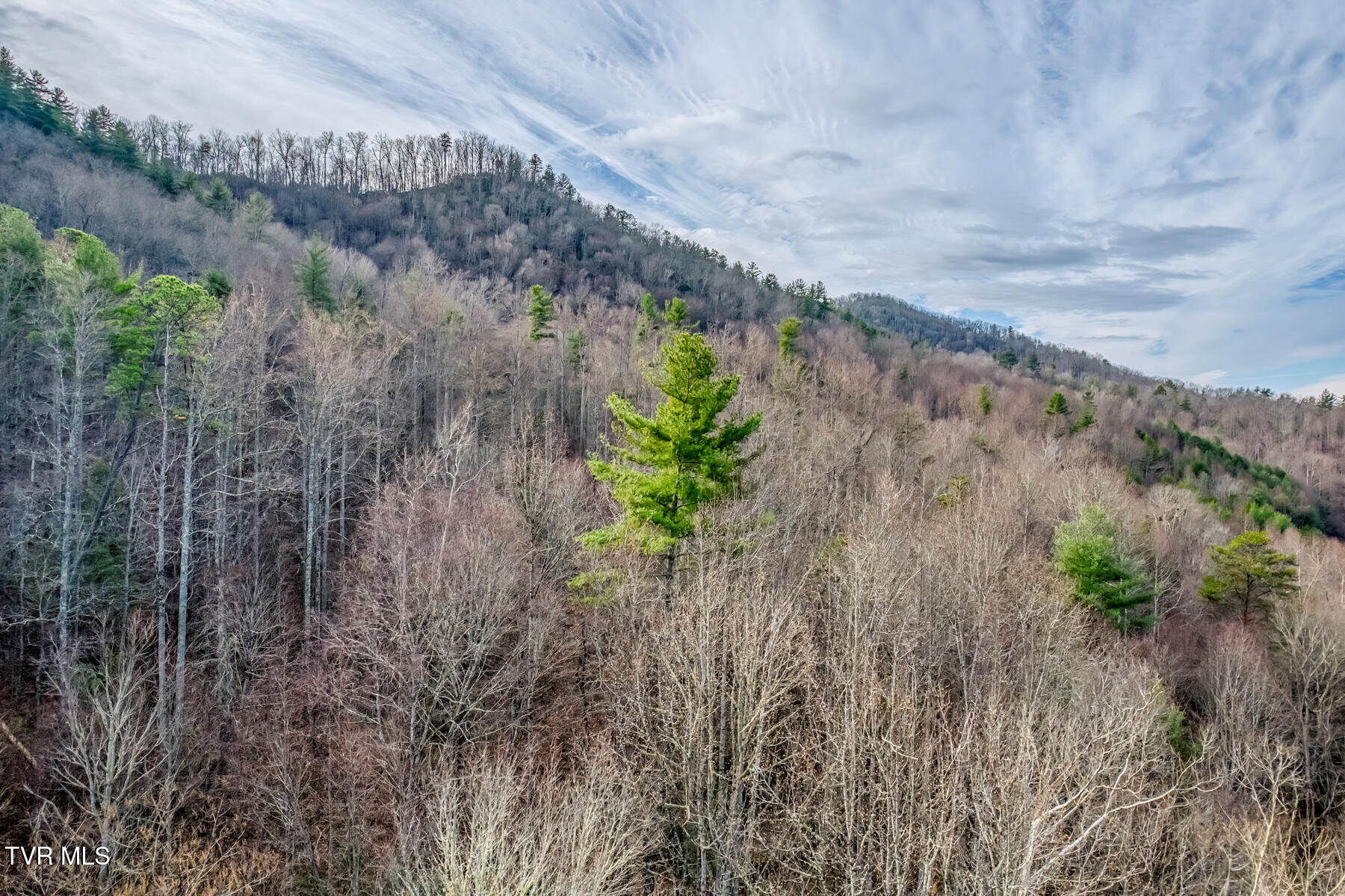 902 R D Campbell Road Butler, TN 37640 - Photo 10 of 19 902 R D Campbell Road-4