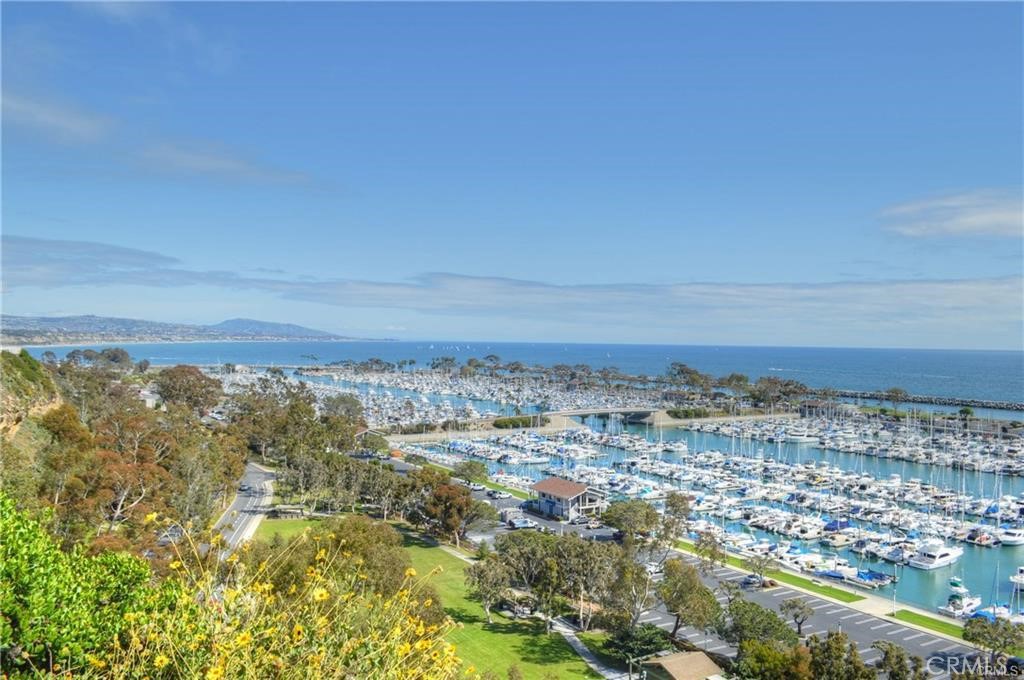 34036 Selva Road, Unit 108 Dana Point, CA 92629 - Photo 32 of 50 Dana Point Harbor a short distance from unit