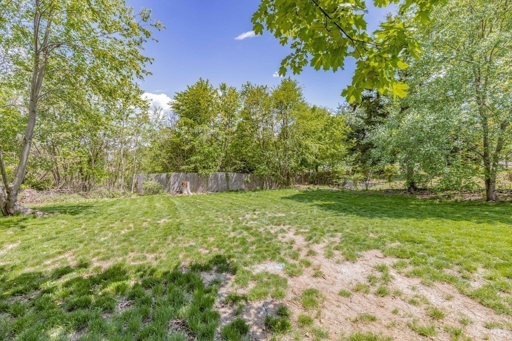 89 Chesterfield Avenue Springfield, MA 01118 - Photo 32 of 32 Gallery Image 32