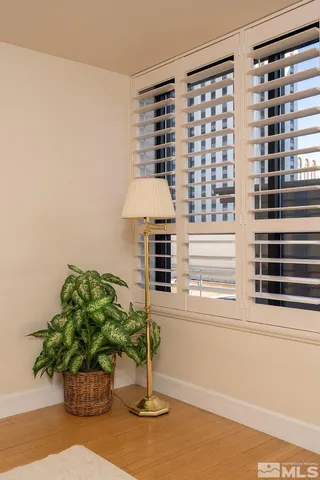 a potted plant sitting in front of a window