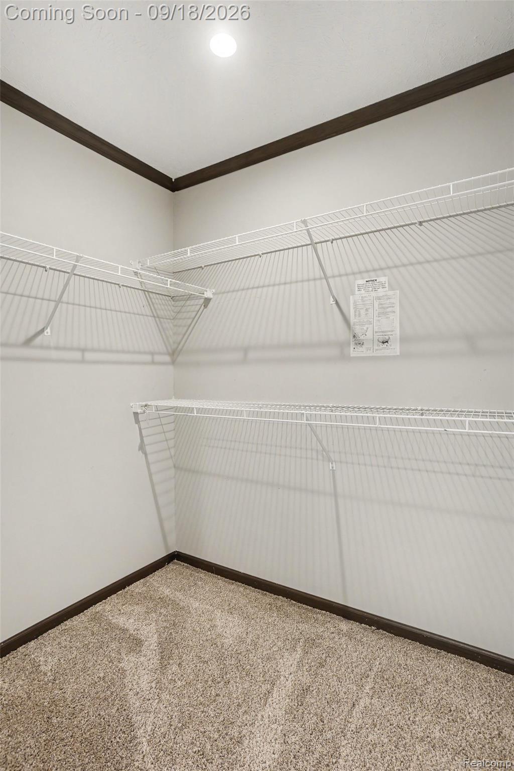470 Flamingo Street Rochester, MI 48309 - Photo 11 of 17 Recessed ceiling lighting, white walls, dark trim, wall-mounted wire shelving, and textured carpeting