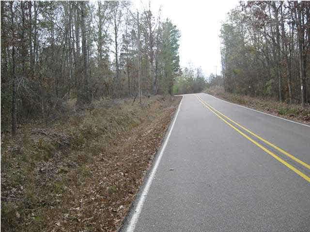 2 Rankin-Ferguson Road Pelahatchie, MS 39145 - Photo 2 of 5 Photo 2