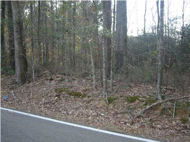 2 Rankin-Ferguson Road Pelahatchie, MS 39145 - Photo 4 of 5 Photo 4