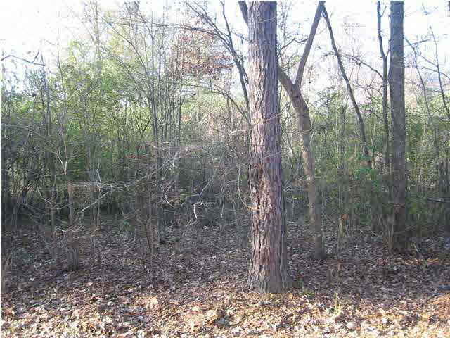 2 Rankin-Ferguson Road Pelahatchie, MS 39145 - Photo 5 of 5 Photo 6
