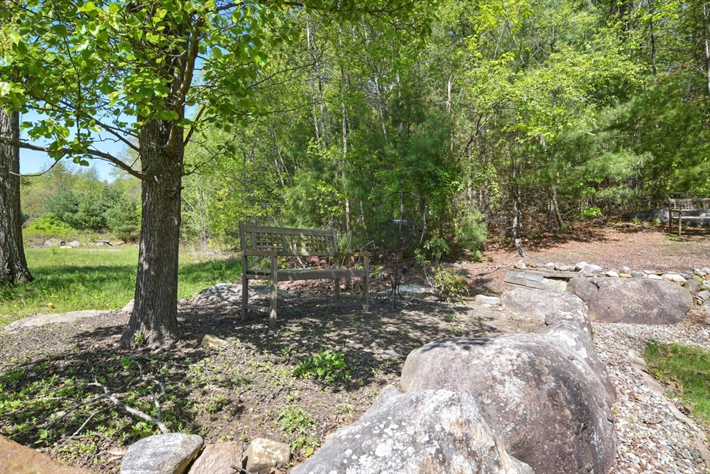 28 Ayers Road Monson, MA 01057 - Photo 42 of 42 a view of a forest with trees