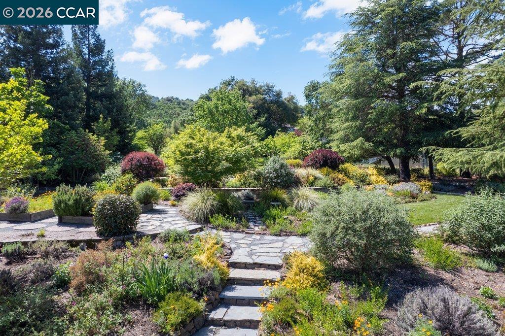 26 Rio Del Court Danville, CA 94526 - Photo 44 of 60
