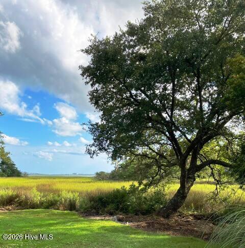 174 Windy Point Road Beaufort, NC 28516 - Photo 59 of 70