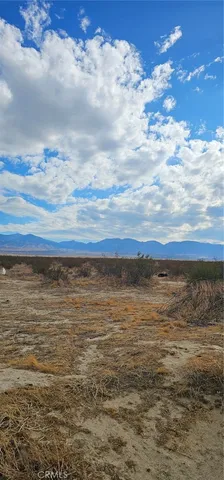 $39,000 | 0 East 187th Street Avenue, Llano, CA 93544