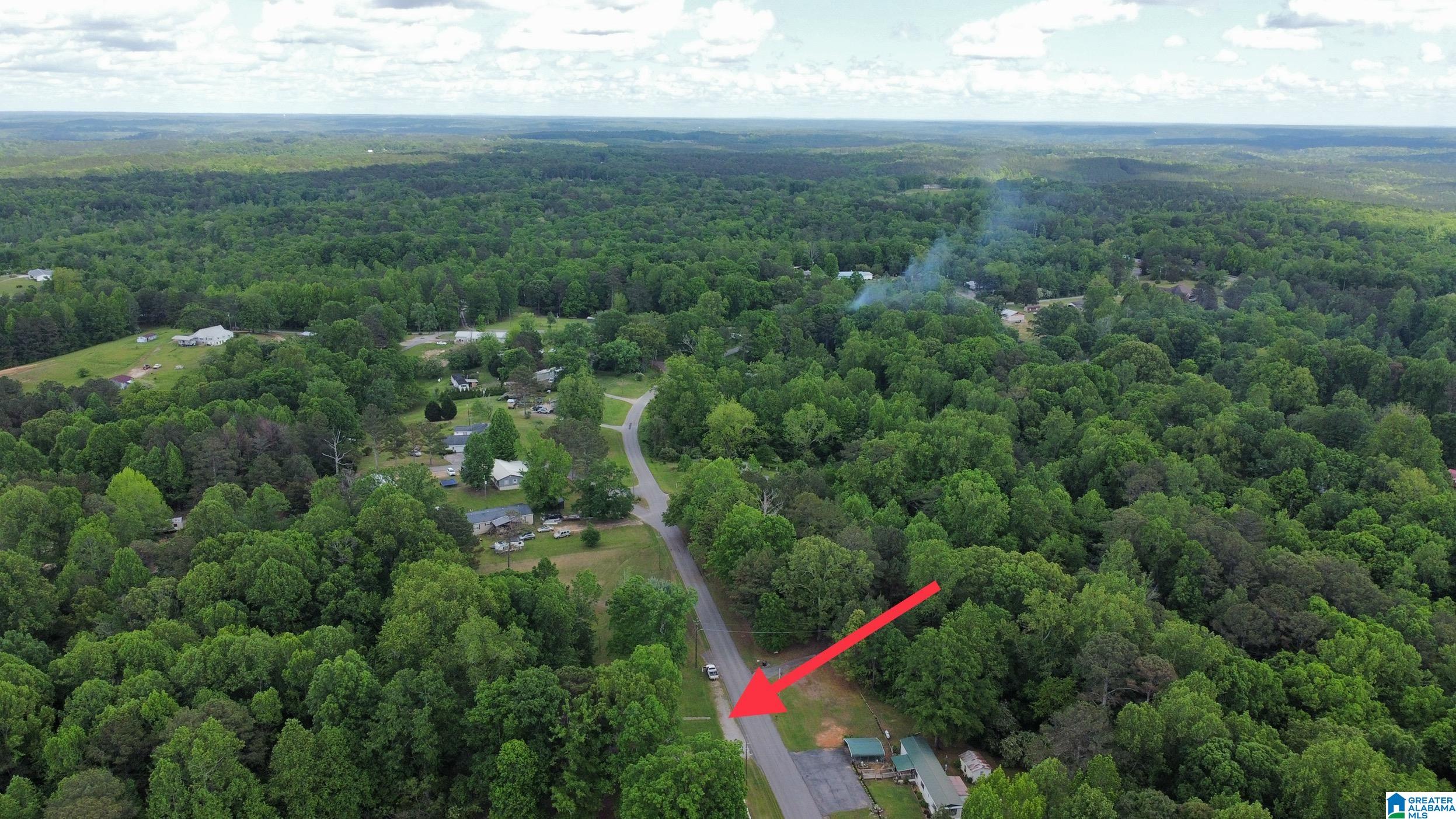 1005 Blake Drive Double Springs, AL 35553 - Photo 35 of 35