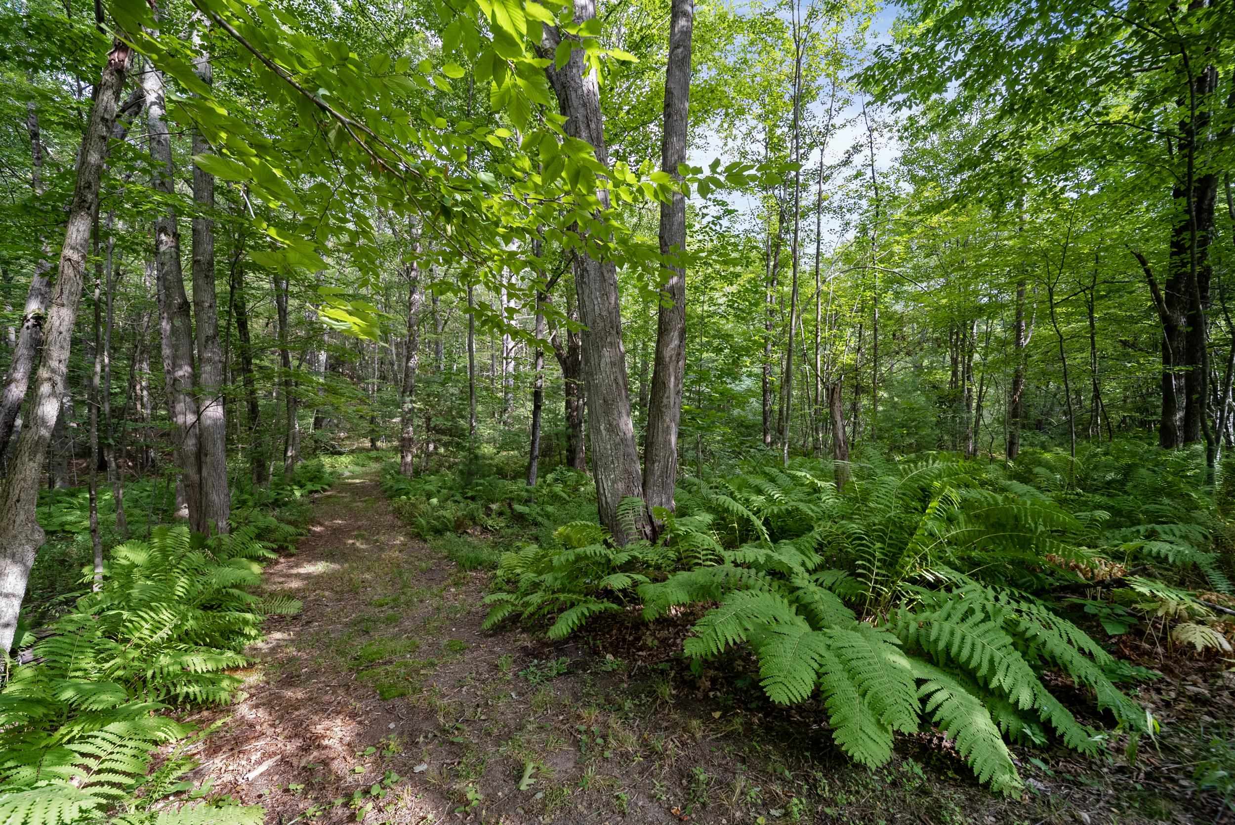 89 Woodhill Road Bow, NH 03304 - Photo 54 of 60