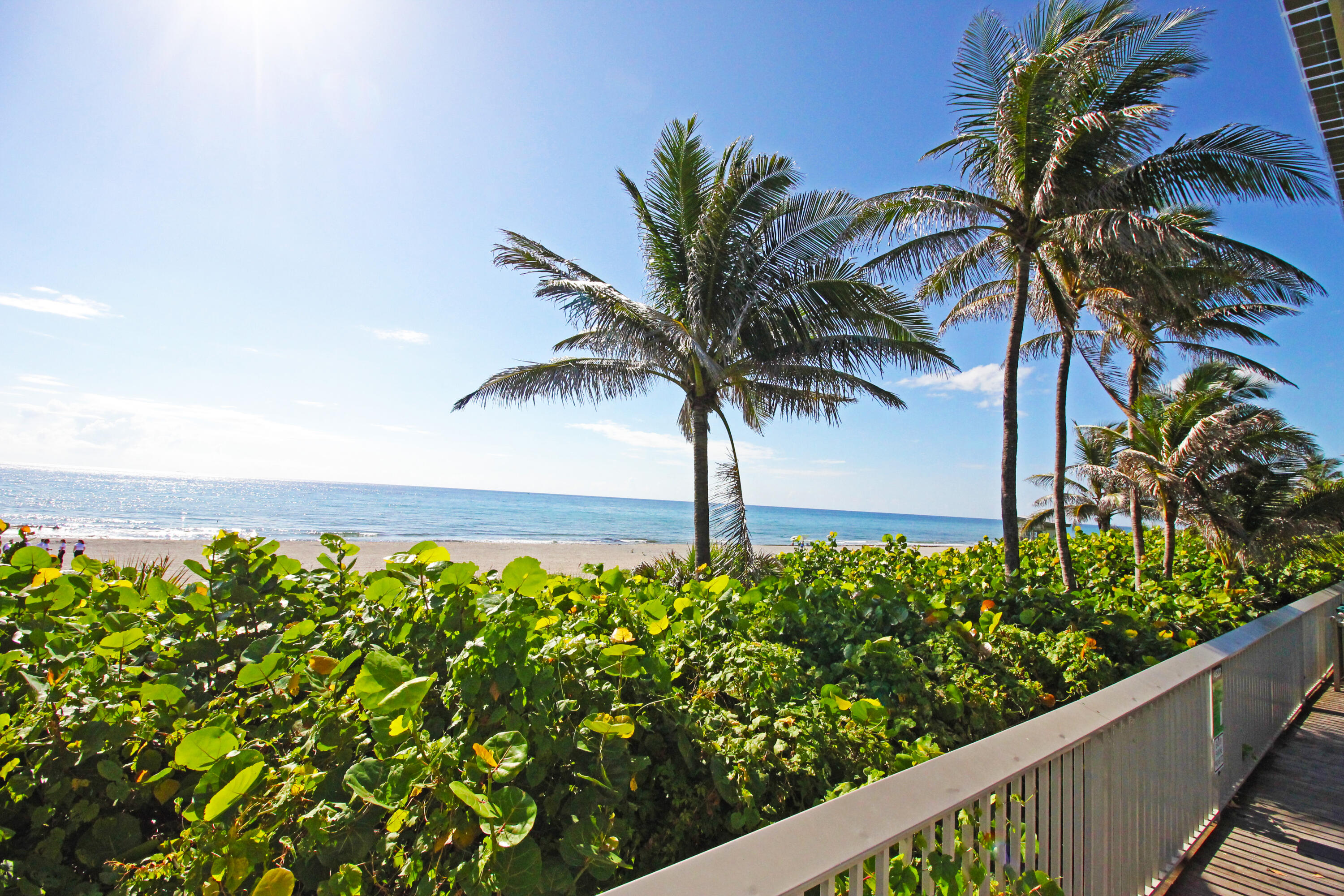 1220 Southwest 25th Place Boynton Beach, FL 33426 - Photo 48 of 62 Palm Trees and Salt Breeze
