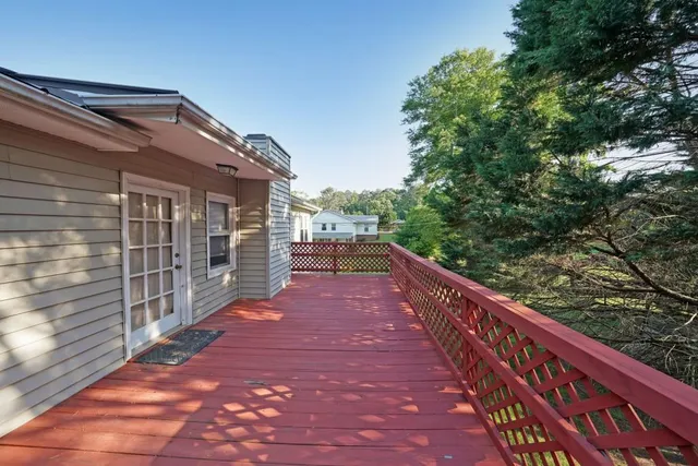 a view of a backyard with plants and large trees
