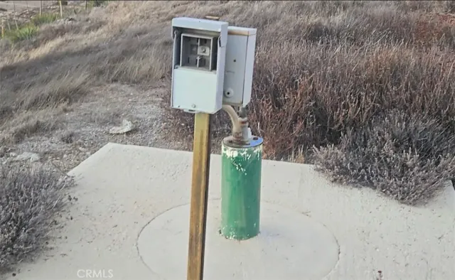 a vase of flowers sitting on top of a dry yard
