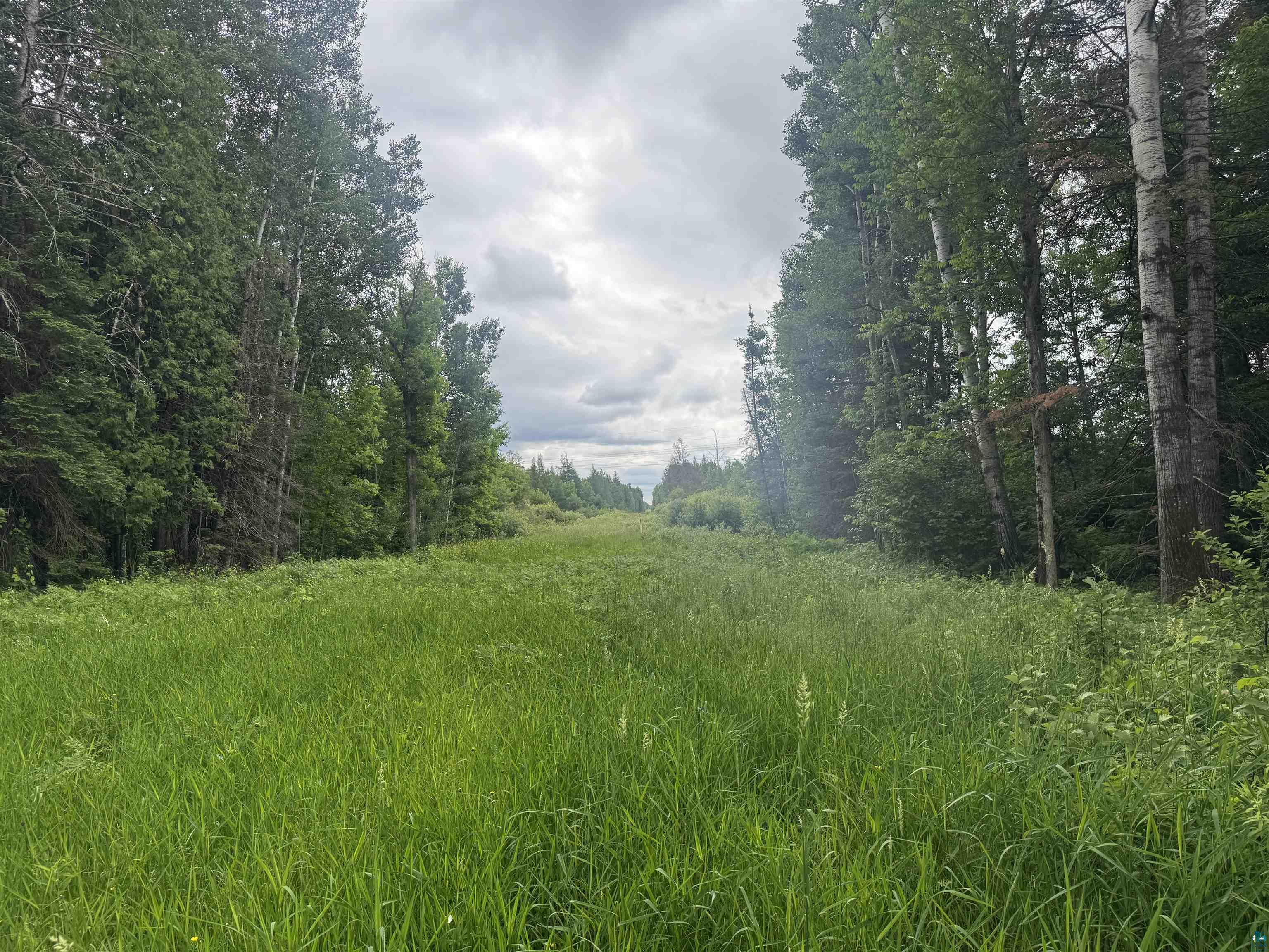 3-xxx Quaal Road Forbes, MN 55738 - Photo 10 of 26