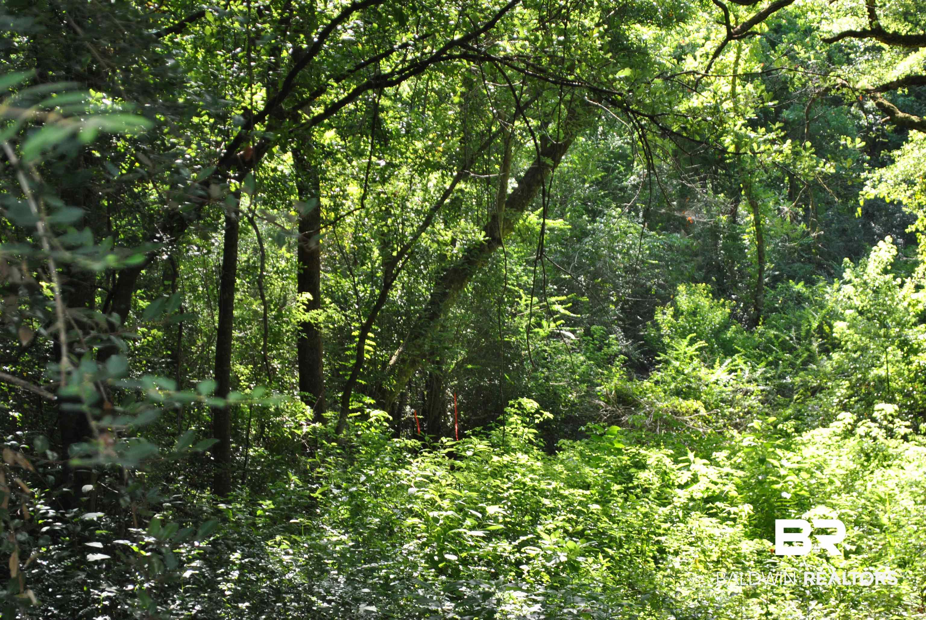 0 Boothe Road Fairhope, AL 36532 - Photo 6 of 7 View of tree filled area