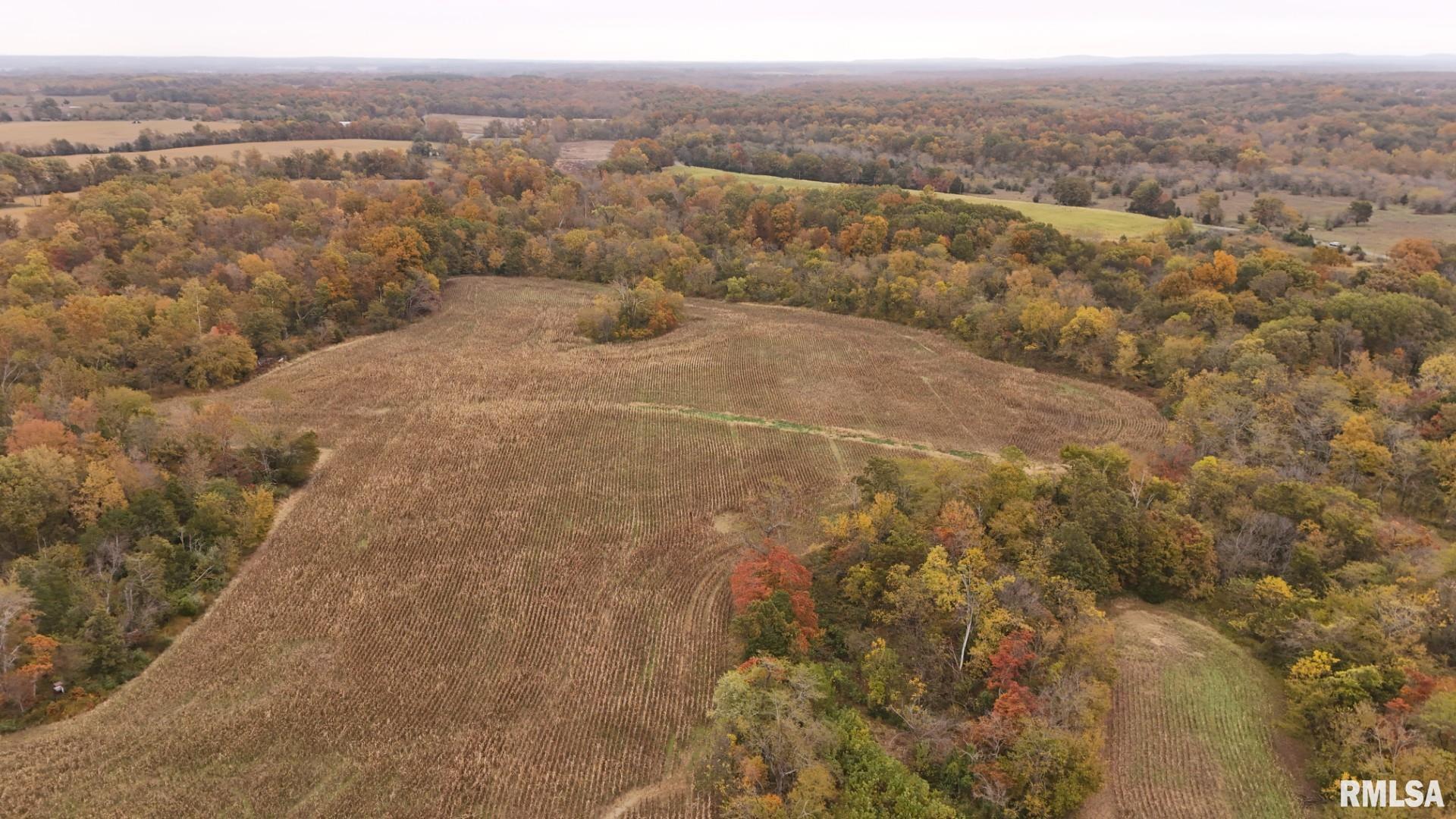 13536 Alleghany Road Thompsonville, IL 62890 - Photo 18 of 62 Gallery Image 18