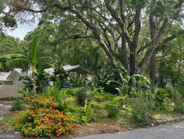 103 Cater Street St. Simons, GA 31522 - Photo 4 of 30 a view of a garden