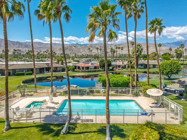 a view of swimming pool with lawn chairs and palm tree