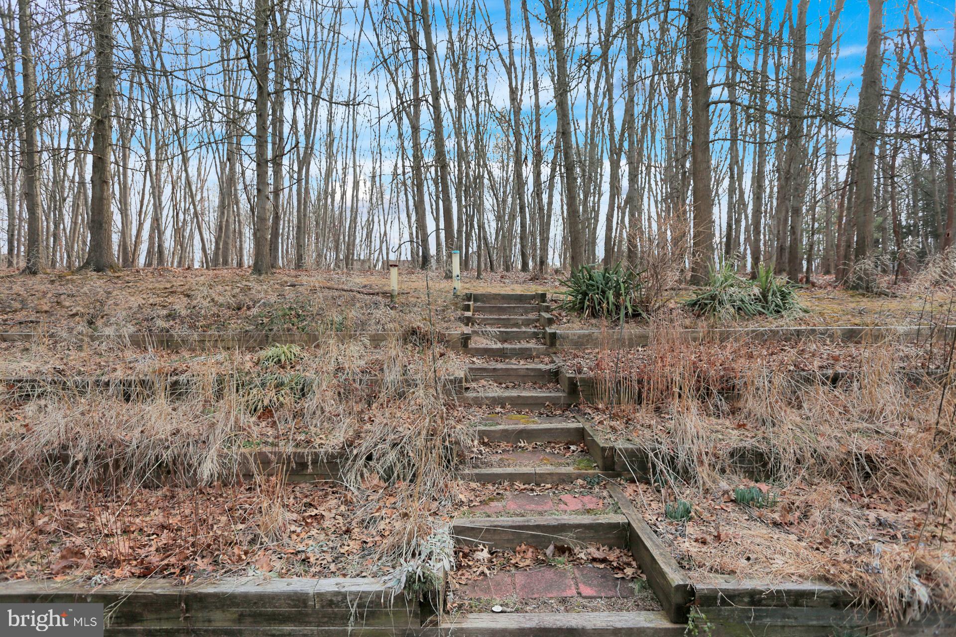 135 Center Road Leesport, PA 19533 - Photo 4 of 32 Gallery Image 4