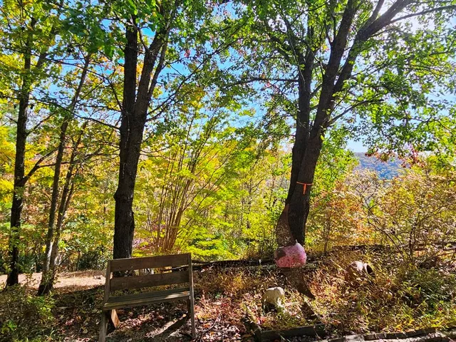 $490,000 | 339 Game Trail Drive, Brasstown, NC 28902