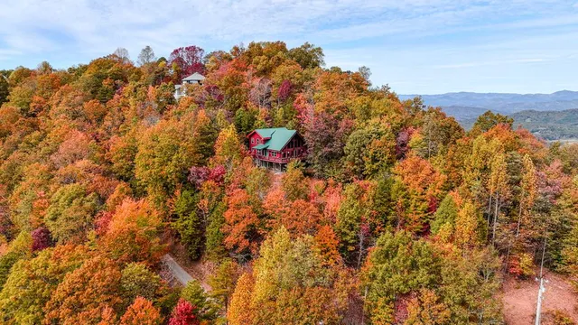 a living room with furniture a wooden floor and next to a window