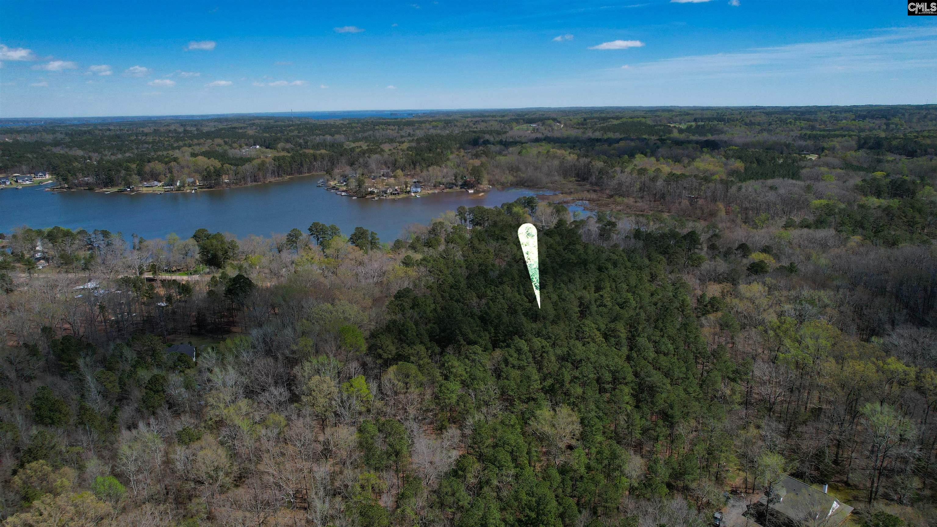 650 Horse Creek Road Leesville, SC 29070 - Photo 5 of 10